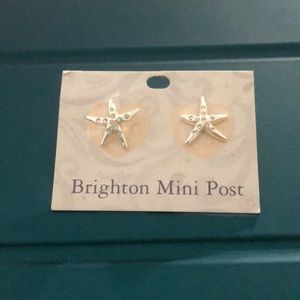 Brighton mini post starfish earrings